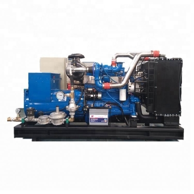 small size CHP 30kw biogas generator LYBGMS30KW